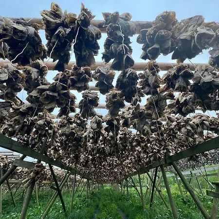 Fisherman's Cabin, Lofoten - 30 Dykkerbua Tatil Evi