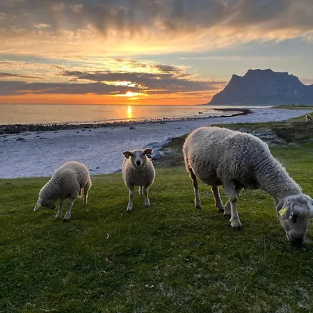 Fisherman's Cabin, Lofoten - 30 Dykkerbua